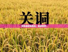 利物浦逆转胜出，震撼世界！