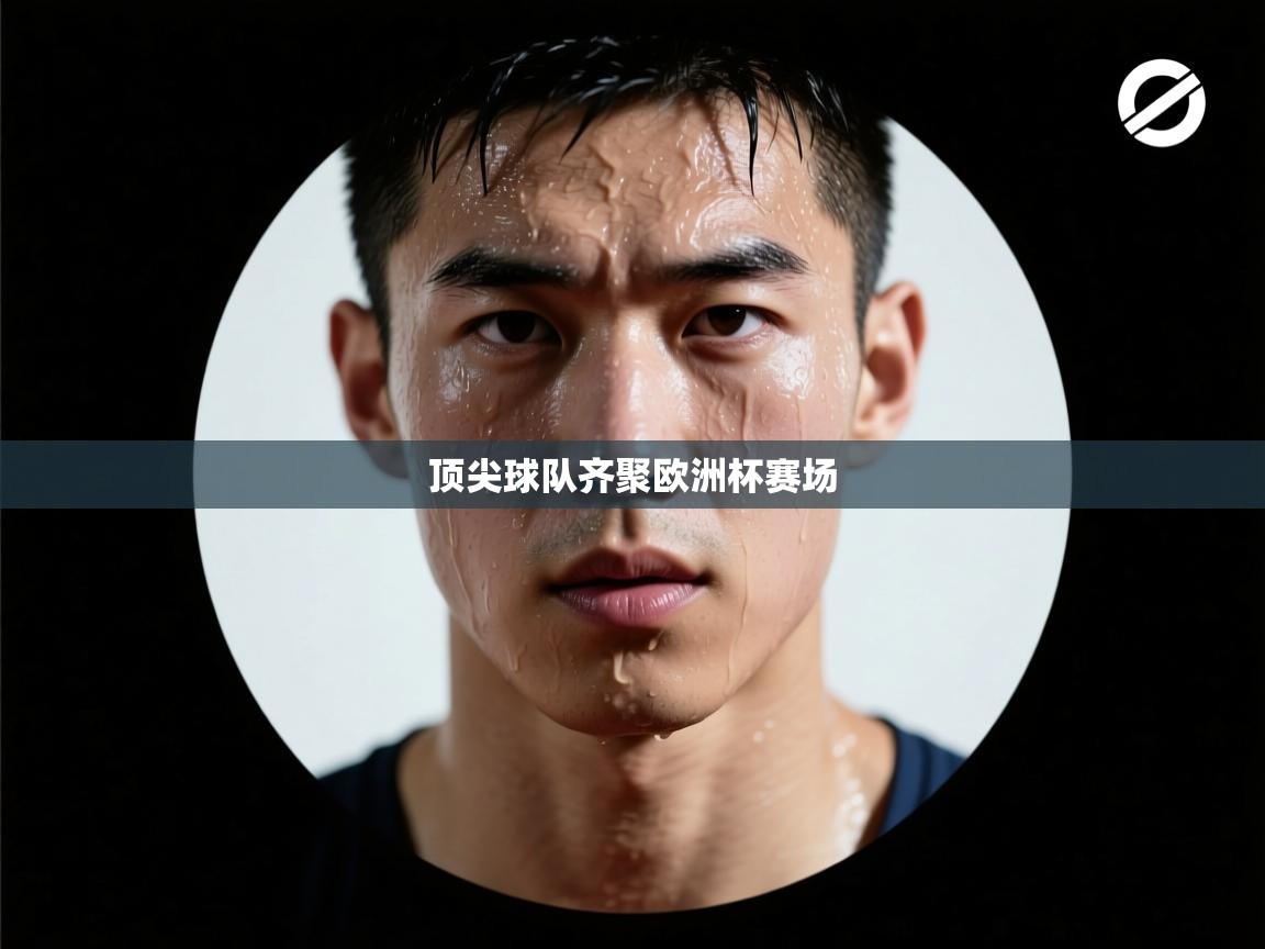 顶尖球队齐聚欧洲杯赛场 第1张