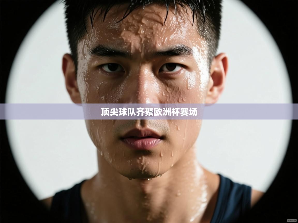 顶尖球队齐聚欧洲杯赛场 第2张