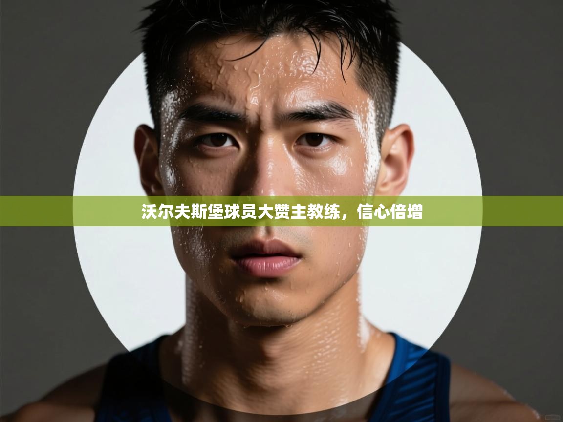 沃尔夫斯堡球员大赞主教练,信心倍增 第2张